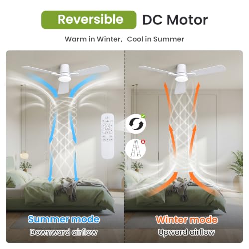 Ceiling Fans with Lights and Remote