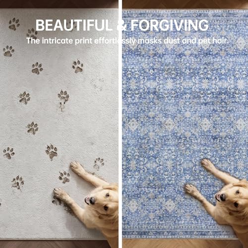 3x5 Area Rugs (Blue / 3' x 5' (Rectangular))