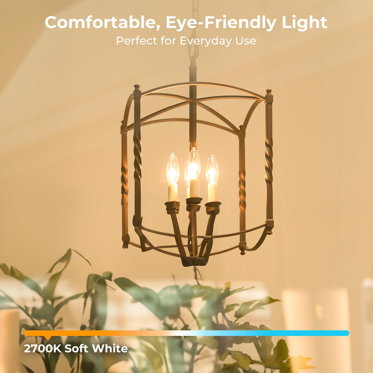 Candelabra Light Bulbs (24 Pack - 6w / Warm White)