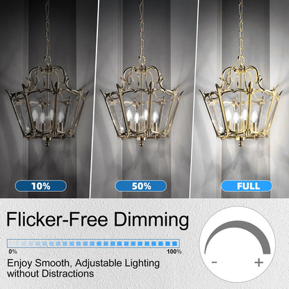 E12 Light bulbs 60 watt Equivalent (12 Pack - 6w / Daylight)