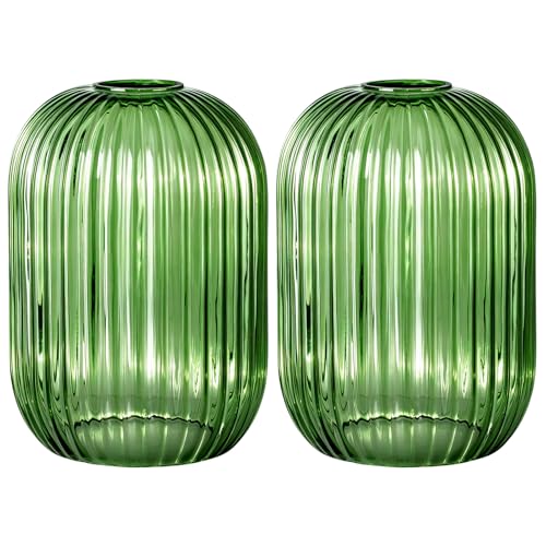 2PACK Glass Shade