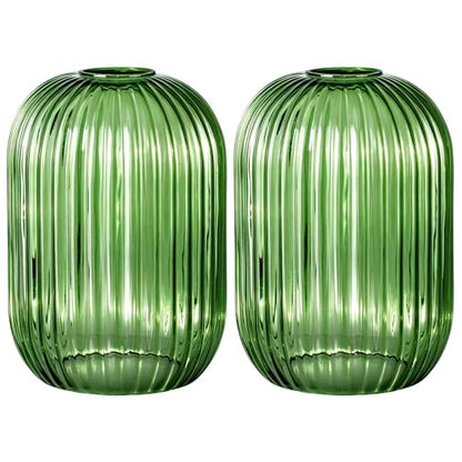 2PACK Glass Shade