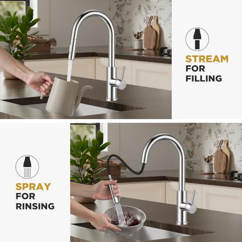 Kitchen Faucet with Pull Down Sprayer