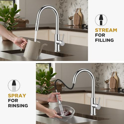 Kitchen Faucet with Pull Down Sprayer