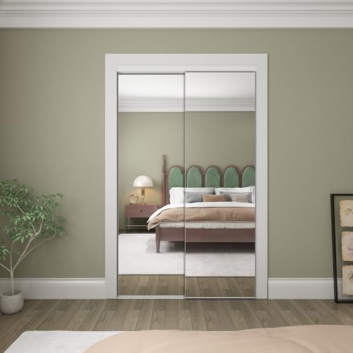 Mirrored Sliding Closet Door