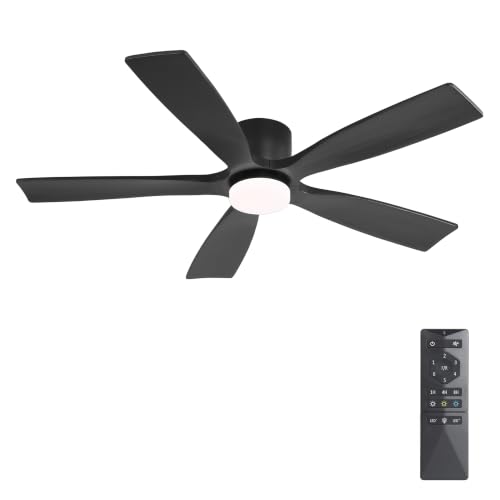 Ceiling Fan with Lights
