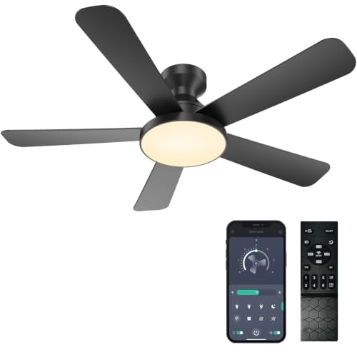 Ceiling Fans with Lights