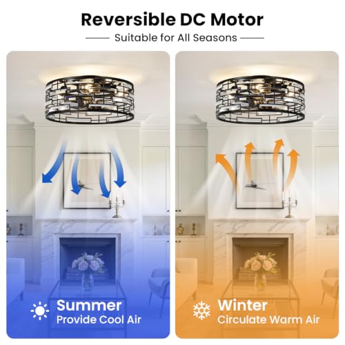 Caged Ceiling Fan with Light