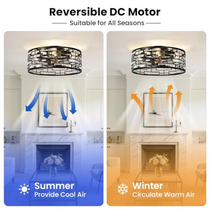 Caged Ceiling Fan with Light