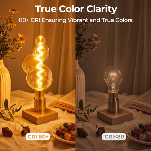 Large Decorative Vintage Edison LED Light Bulbs