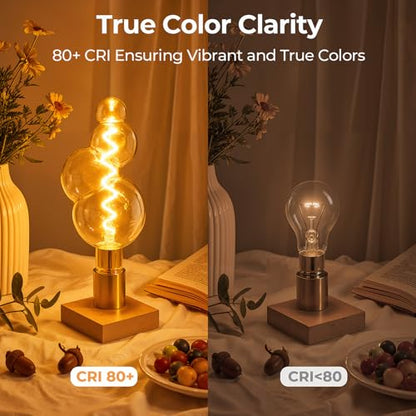 Large Decorative Vintage Edison LED Light Bulbs
