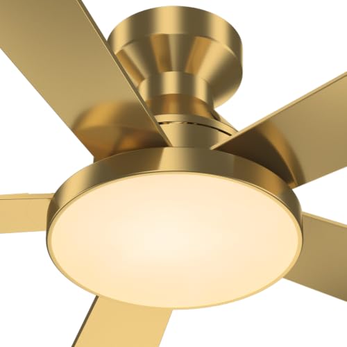 Ceiling Fans with Lights