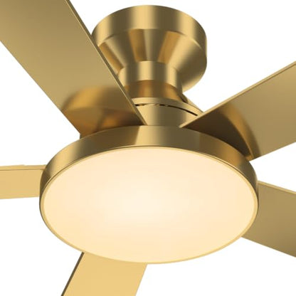 Ceiling Fans with Lights