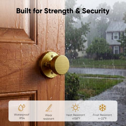 Door Knobs Interior