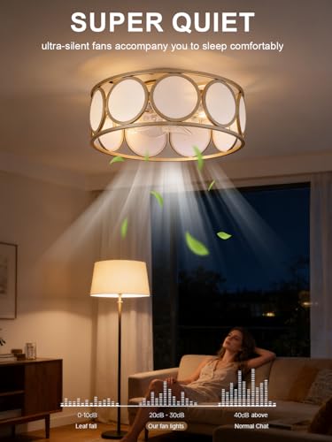 Ceiling Fans