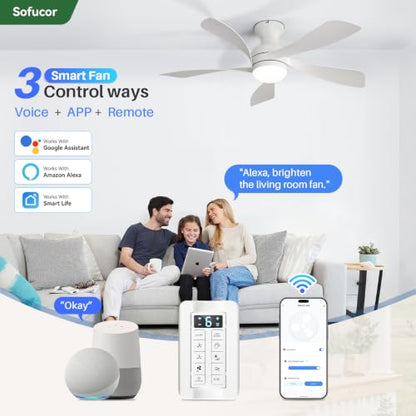 52 Inch Smart Ceiling Fans with Lights and Remote (White / 52inch Max)