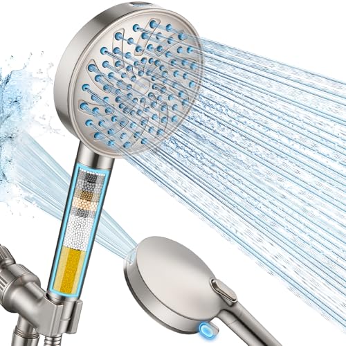 Handheld Shower Head with Filter