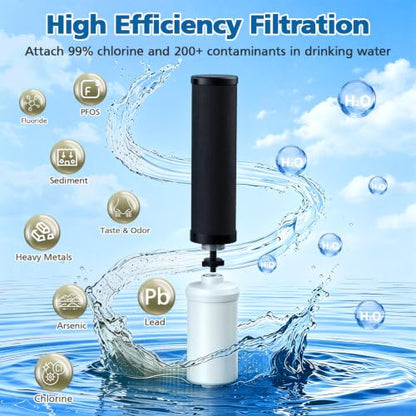 Water Filter Replacement