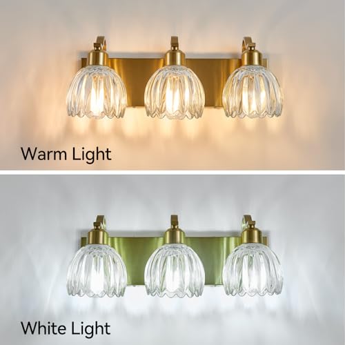 3 Light Vanity Lights with Clear Tulip Glass Shade (Gold - Tulip Clear / 3-light)