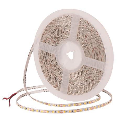 32.8ft LED Strip Lights DC24V