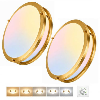 Dimmable LED Ceiling Light Fixtures Super Bright