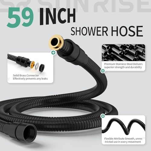 12 Inch Rain Shower Head with Handheld Combo