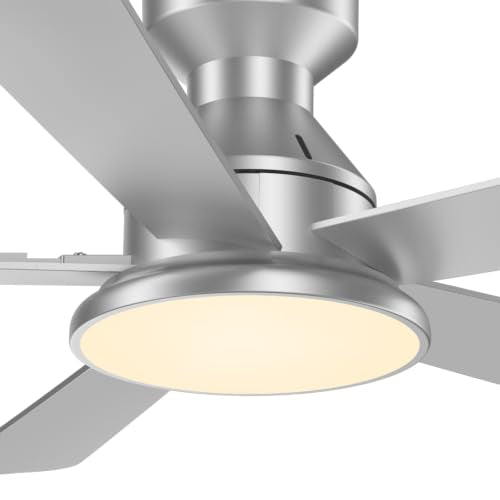Ceiling Fans with Lights