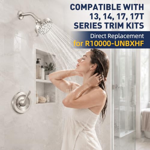 Shower Valve Compatible with Delta MultiChoice R10000