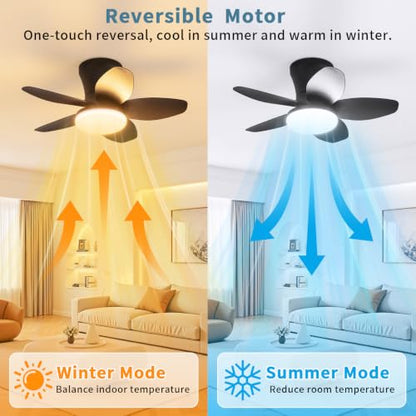 Small Ceiling Fan with Lights