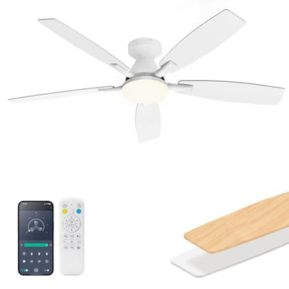 52 Inch Ceiling Fans with Lights