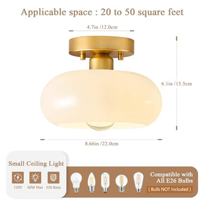 Moredern Black Ceiling Light0 00001