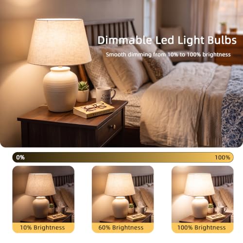 A19 14W Dimmable Led Light Bulbs 6 Pack
