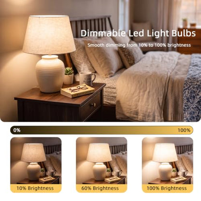 A19 14W Dimmable Led Light Bulbs 6 Pack