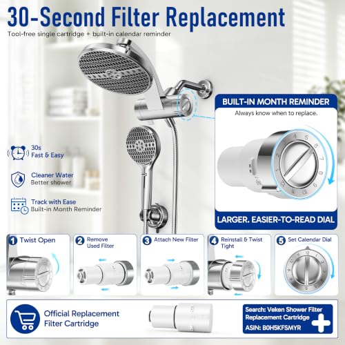 Filtered Shower Head with Handheld