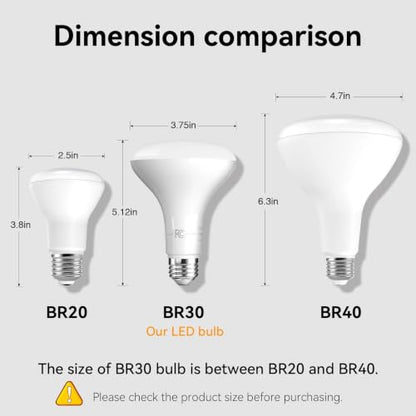 BR30 Flood Light Bulb Indoor