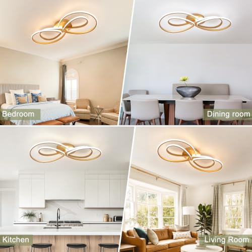 Modern LED Ceiling Light