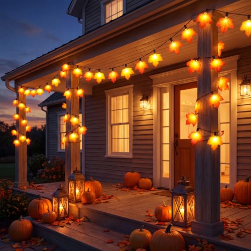 25FT Outdoor String Lights for Holiday Decor