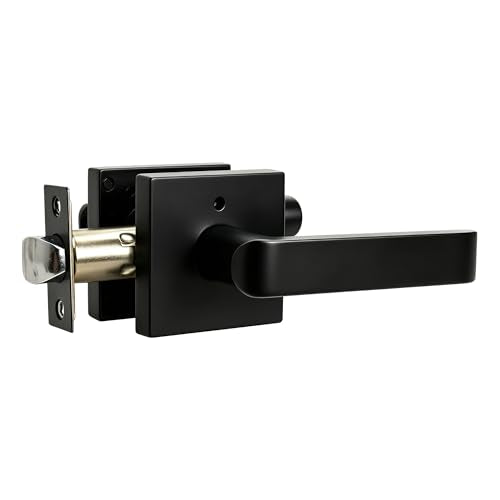Interior Privacy Door Lever