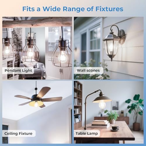 Stepless Dimmable A19 LED Edison Bulbs