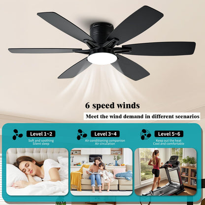 52 inch Ceiling Fan with Lights (Black+RGB)