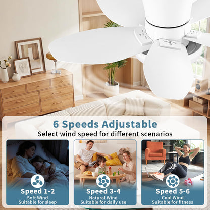 Small Ceiling Fan with Lights (White / 25 Inch)