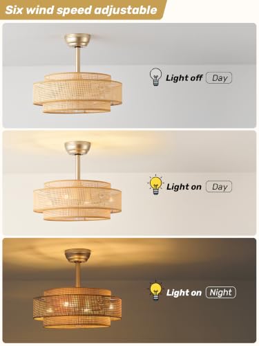 20" Boho Ceiling Fan with Light