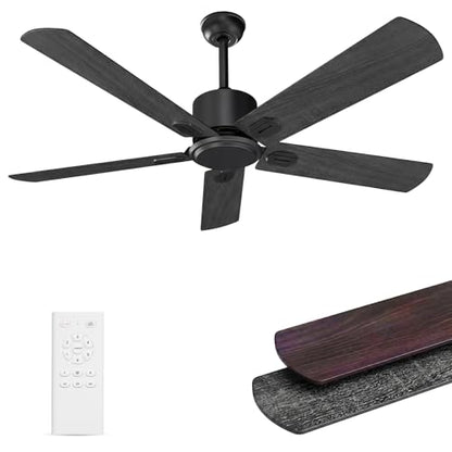 Black Ceiling Fan