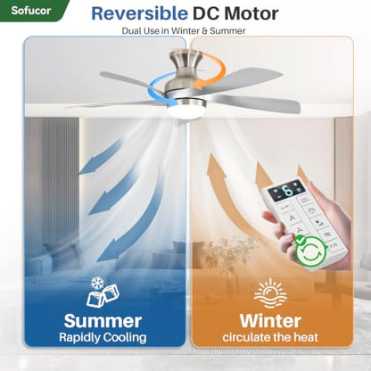 52 Inch Smart Ceiling Fans with Lights and Remote (Silver+Nickel / 52inch Max)