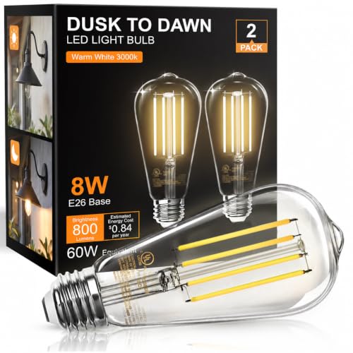 Dusk to Dawn Light Bulbs ST58 Outdoor Edison Bulbs LED