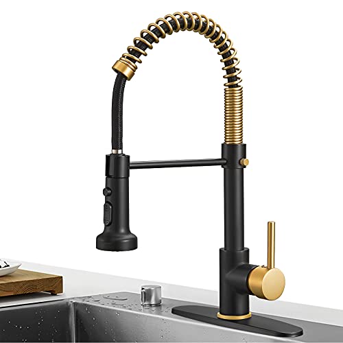 High Arc Spring Kitchen Faucet with Pull Down Sprayer