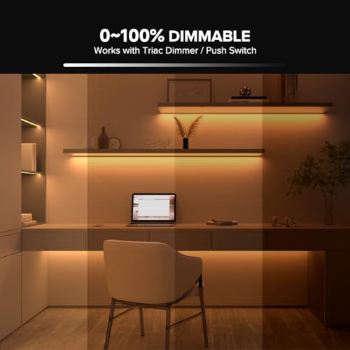 12VDC Dimmable Power Supply