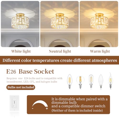 Ceiling Light Fixture