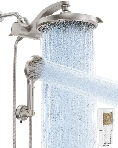 Shower Head with Handheld