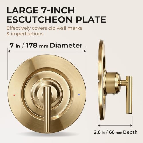 Shower Valve Trim Kit Compatible with Moen Gibson T2901 Posi